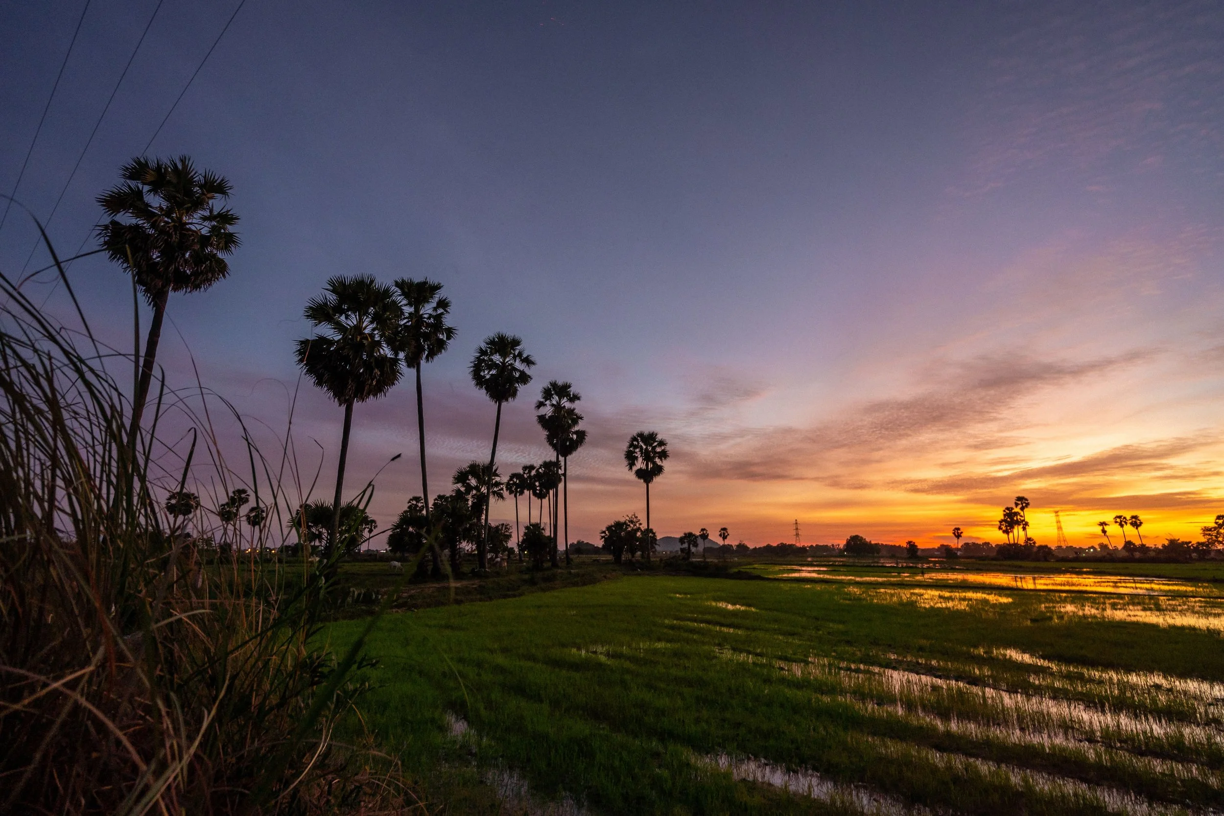 Paysage cambodgien au coucher du soleil